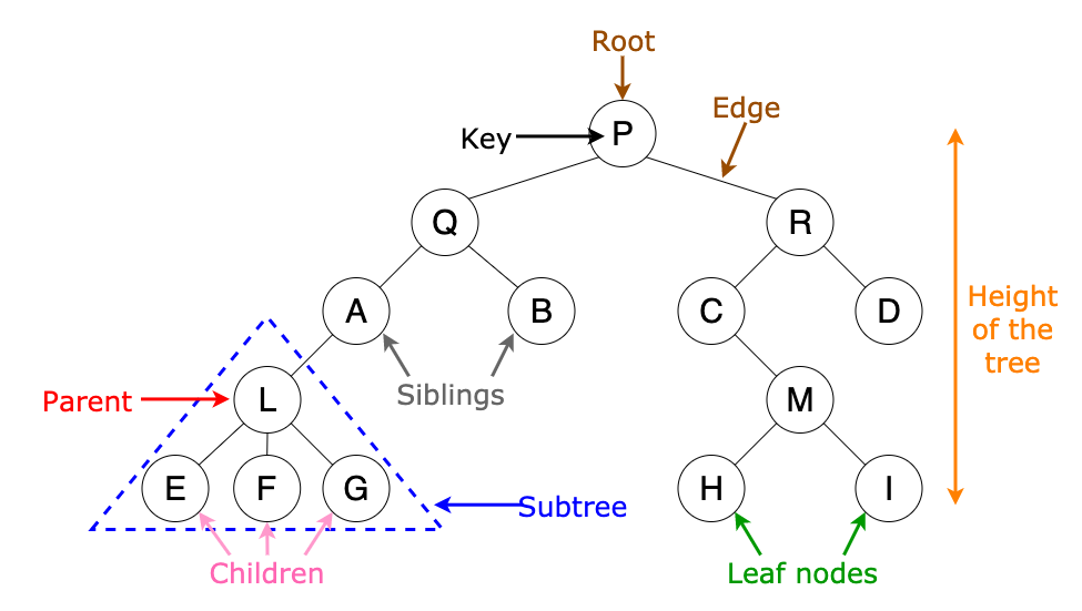 Tree Data Structure